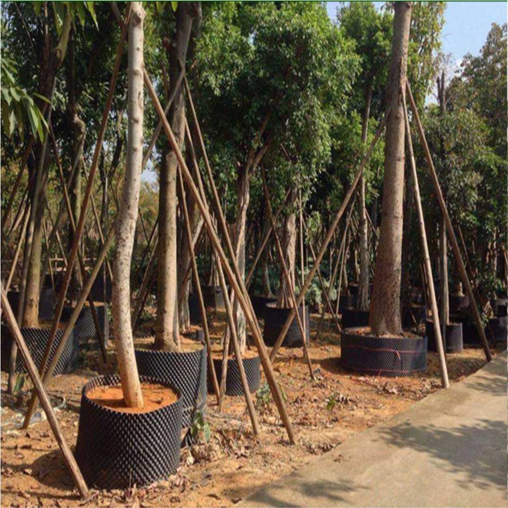 أداة زراعة وتحويل نباتات البون - مراجعة Outdoor Furniture Metal وسعره